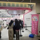 홍대 팝업 스미코구라시 행복한 타피오카 편의점 상륙!