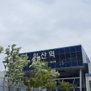 올클린 모터스 | 척해도 결국엔 이건 끝을 봤던 에피소드 / 2025 K리그1 직관 후기 12R 대전하나시티즌 vs 전북현대모터스