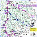 제1110회 3월10일(월) 하동 성제봉(1115M)~신선대(903M) (매화축제, 화개장터) 이미지