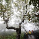 명산임업