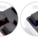 텐 프로 이미지