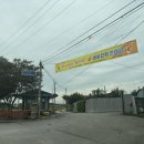 익산 삼기면 원기산마을축제 생생후기