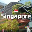 짝호텔 | 싱가포르 가성비 숙소 추천 2인 여행 리프푸난 호텔 내돈내산 후기