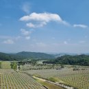 6.25전쟁 제74주년 기념식 | &#34;이 땅, 이 바다, 이 하늘을 위해&#34;, 6․25전쟁 제74주년 기념식