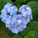 우연한발견 이미지