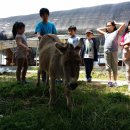 행복농장 6 이미지