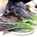 무진장식당 이미지