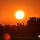 해맞이펜션 이미지