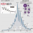 신규 확진자 2만5125명..금요일 기준 16주 만에 최저(종합) 이미지