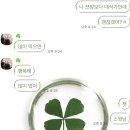 제주야생동물구조센터 | 바다 직박구리와 제비 유조 새줍하는 제주도민의 일상