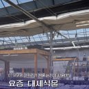 사바나Savanna | 뚜벅이도 갈수있는 아프리카식물 농장 '사바나농장' 방문후기 서울 식물농장 식물샵 식물가게