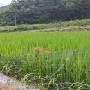 선기농장 이미지