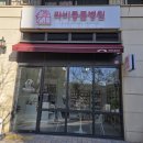 김포동물약국 | [김포 운양동 동물병원] 라비동물병원 강아지 예방 접종 후기, 심장사상충약 저렴한 동물병원 (내돈내산)