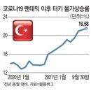 사리가스 이미지