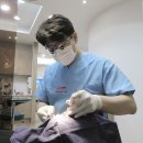 보스톤수지치과의원 이미지