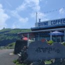 디바인(Divine) 이미지