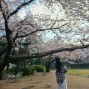 황 | 신점영점 태을천황 찐 후기!!!!