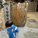 [익산 한옥 숙소 추천] 청담황토한옥 앞채방 후기 – 온수풀 물놀이 완벽했던 가족여행