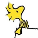 우드스탁 이미지