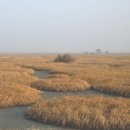 해탈, 그 이후의  이미지