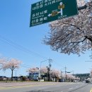삼춘샤브샤브