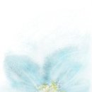 미담 이미지
