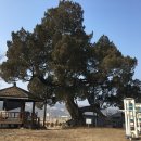 마장3리 이미지