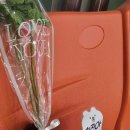 송암스포츠타운 빙상장 이미지