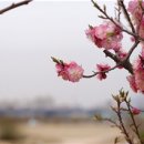 수피부이야기 - 파주시 사임당로 822 | 수피부이야기