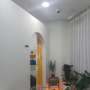 라디브로우