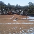 우의정 이미지