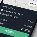 댕플 | 우리 강아지랑 절에 갈 수 있다고? 미륵사 댕플스테이 다녀온 솔직 후기!