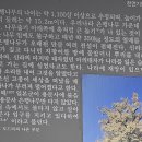 양평 용문산관광단지 가을풍경 이미지