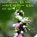 향기 이미지