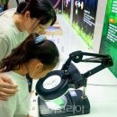 축제로 만나는 부여 여행 이미지