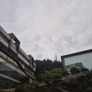 청성로 | 🌿 포천 아이와 가볼만한 곳 어메이징파크 &amp; 카페 솔트가든 후기