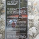 수연다방 이미지