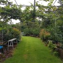 귤림하우스 이미지