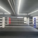 더 복싱 짐'엘' 이미지