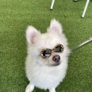 (주)멕시칼리 이미지