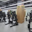 경기도 수원시 팔달구 경수대로704번길, 월드컵로369번길 | [우만동헬스장] 유산소 기구 미쳤다.. 24시간 입장 가능한 400평대 헬스장