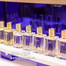 서울 엑스니힐로 롯데백화점 본점 방문 후기 | 향수 추천