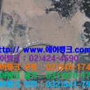 대영프라자 티스토리