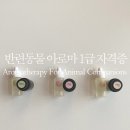 백궁아로마