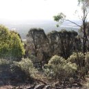 시등목장 이미지