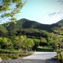 샛들민박 이미지