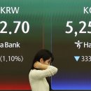 6855 헤럴드경제