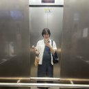 임산부 패션, 임부복 추천(임신 후기 29주~38주)