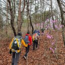 ＜백학산＞- 큰재-회룡재-윗왕실-白鶴山-개머리-지기재 자유인24기 백두종주대-01,, 이미지