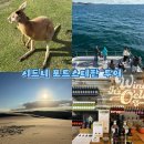 굿라이프여행사 | 호주 시드니 여행 필수 코스 추천 동물원 크루즈 와이너리 모래썰매, 포트스테판 투어